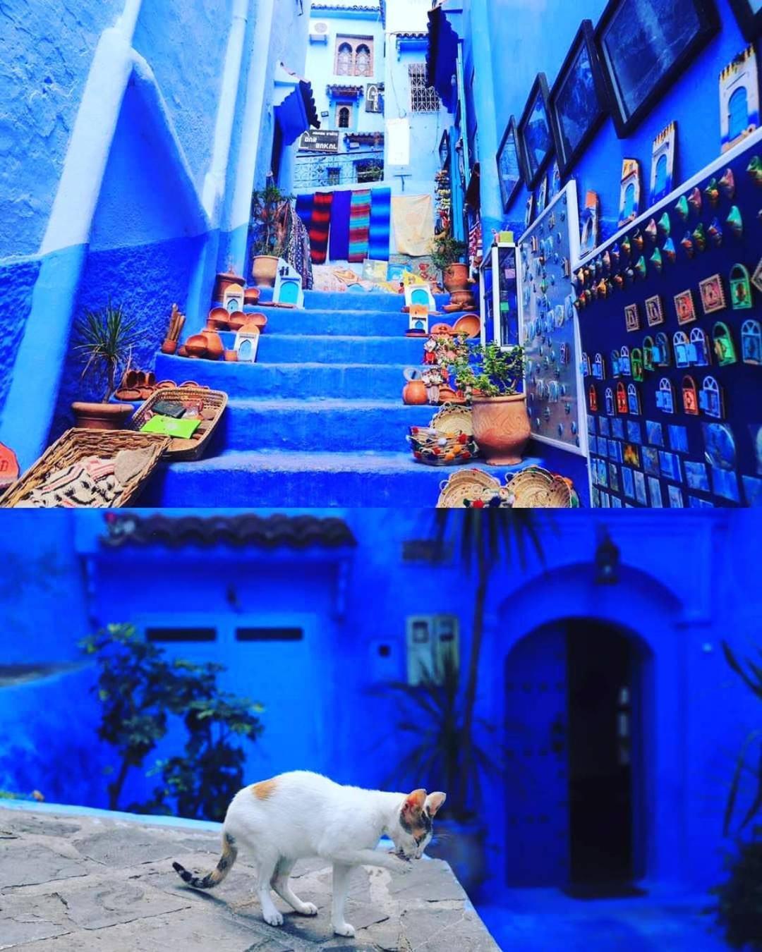 Casa Meryem Chaouen Apartment Chefchaouen